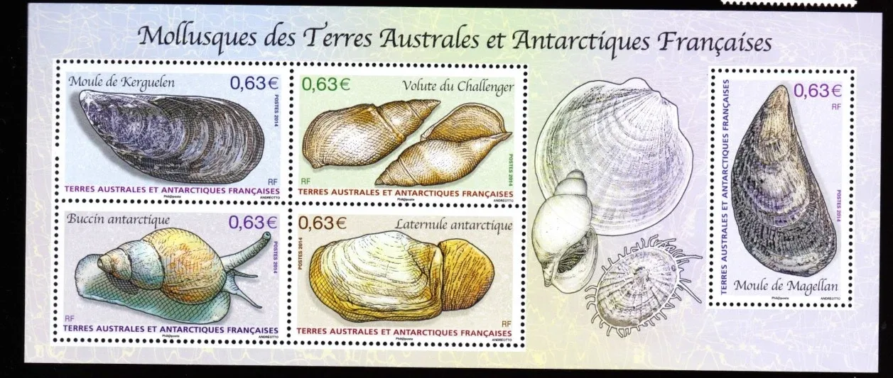 TAAF Terres Australes et Antarctiques - Valeurs et séries — Vue 5