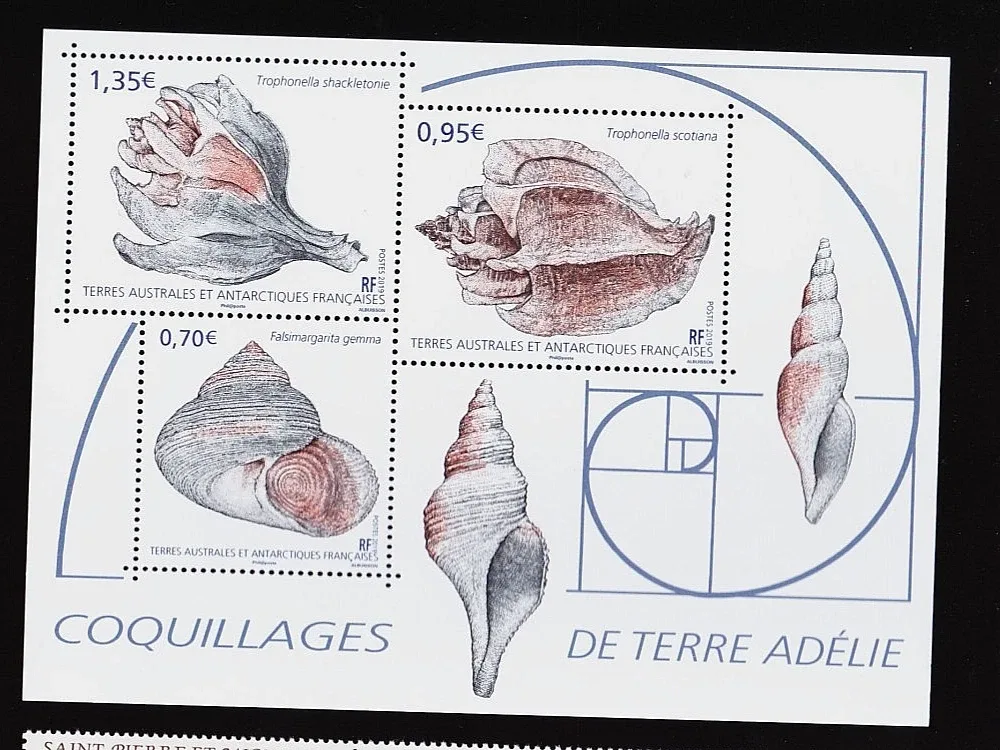 TAAF Terres Australes et Antarctiques - Valeurs et séries — Vue 6
